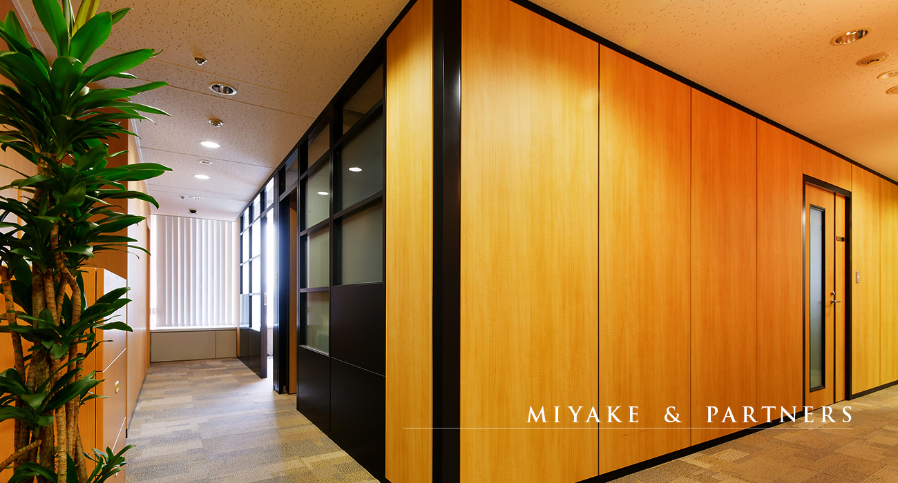 MIYAKE & PARTNERS